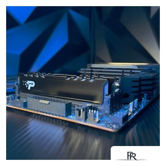 Оперативная память Patriot Signature Premium Line 16ГБ DDR5 5600 МГц PSP516G56002H1 - Изображение №4 — Интернет-магазин ПроЗаказ
