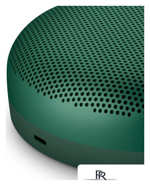 Беспроводная колонка Bang & Olufsen Beosound A1 2nd Gen (зеленый) - Изображение №6 — Интернет-магазин ПроЗаказ