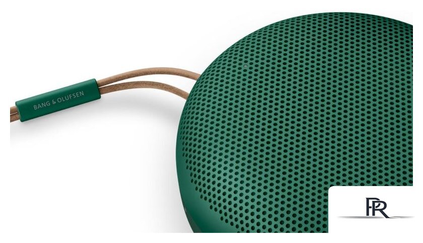Беспроводная колонка Bang & Olufsen Beosound A1 2nd Gen (зеленый) - Изображение №7 — Интернет-магазин ПроЗаказ