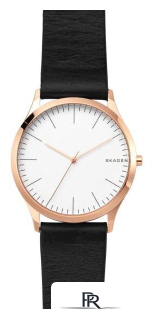 Наручные часы Skagen SKW1102 - Изображение №1 — Интернет-магазин ПроЗаказ