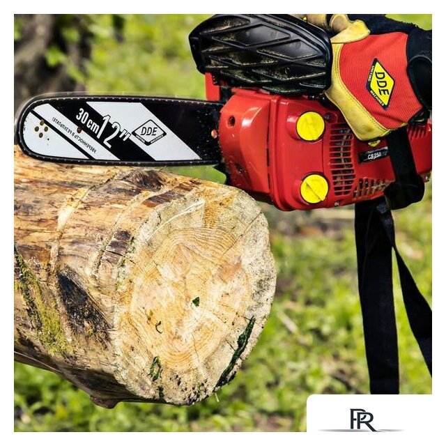 Бензопила DDE CS250-12 - Изображение №5 — Интернет-магазин ПроЗаказ