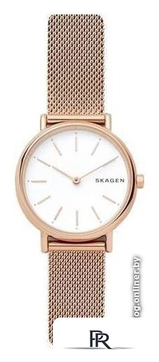 Наручные часы Skagen SKW2694 - Изображение №1 — Интернет-магазин ПроЗаказ