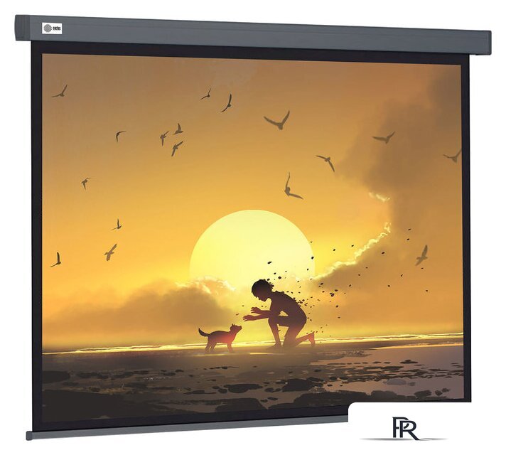 Проекционный экран CACTUS Wallscreen 124x221 CS-PSW-124X221-SG - Изображение №1 — Интернет-магазин ПроЗаказ