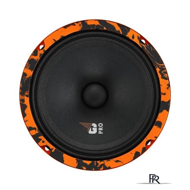 Среднечастотная АС DL Audio Gryphon Pro 165 - Изображение №2 — Интернет-магазин ПроЗаказ