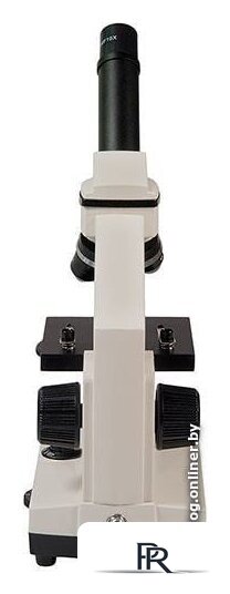 Детский микроскоп Микромед Эврика 40х-1280х с видеоокуляром в кейсе 22670 - Изображение №13 — Интернет-магазин ПроЗаказ