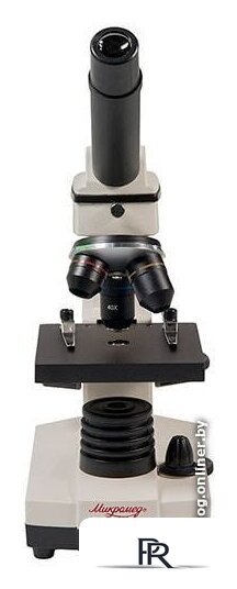 Детский микроскоп Микромед Эврика 40х-1280х с видеоокуляром в кейсе 22670 - Изображение №6 — Интернет-магазин ПроЗаказ