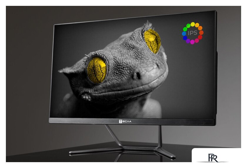 Моноблок ТЕСЛА Z24B 2416500 - Изображение №1 — Интернет-магазин ПроЗаказ