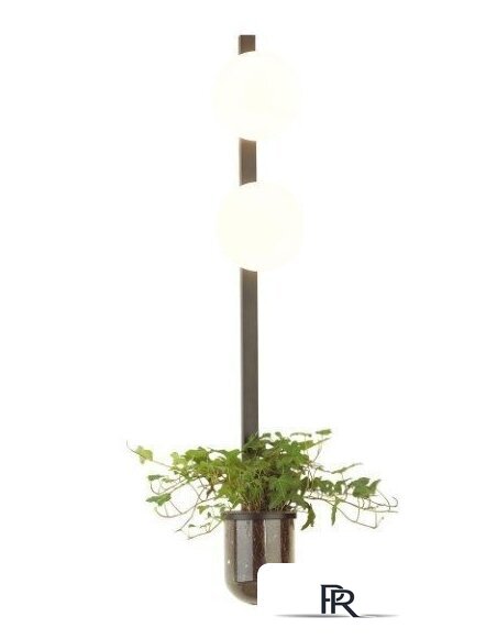 Бра Odeon Light Flower 4681/2WA - Изображение №1 — Интернет-магазин ПроЗаказ