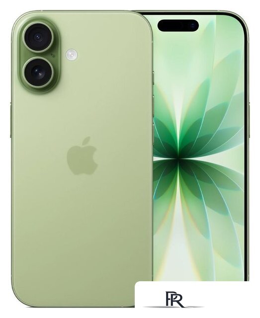 Телефон Apple iPhone 17 256GB (зеленый) - Изображение №1 — Интернет-магазин ПроЗаказ