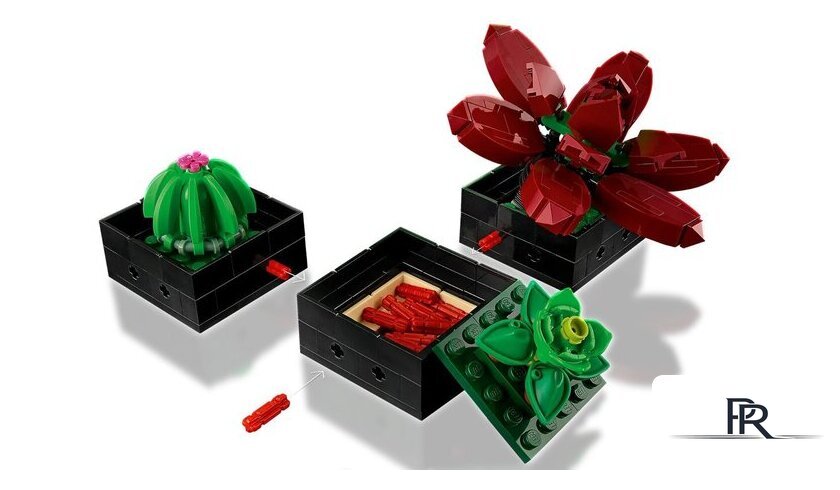 Конструктор LEGO Creator Expert 10309 Суккуленты - Изображение №7 — Интернет-магазин ПроЗаказ