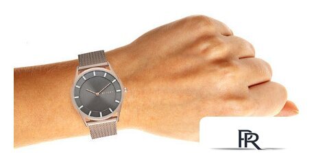 Наручные часы Skagen SKW2378 - Изображение №6 — Интернет-магазин ПроЗаказ