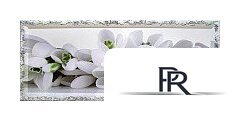 Картина Декарт Белые цветы 8Л0453 (в раме) - Изображение №1 — Интернет-магазин ПроЗаказ