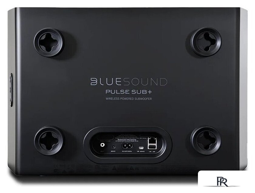 Беспроводной сабвуфер Bluesound Pulse Sub+ (черный) - Изображение №4 — Интернет-магазин ПроЗаказ