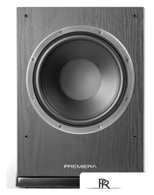 Проводной сабвуфер Premiera DS-10SA (черный) - Изображение №2 — Интернет-магазин ПроЗаказ