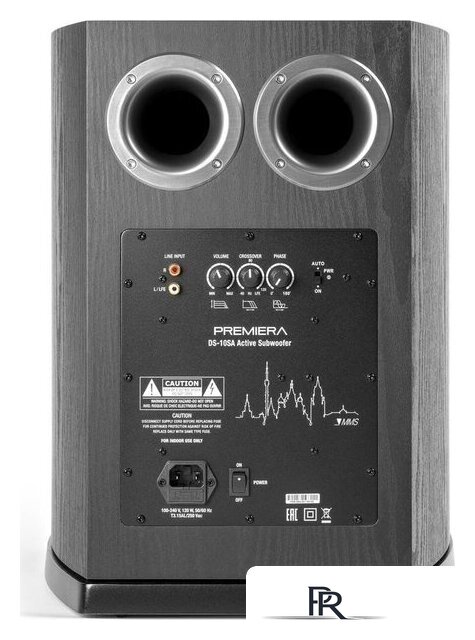 Проводной сабвуфер Premiera DS-10SA (черный) - Изображение №4 — Интернет-магазин ПроЗаказ