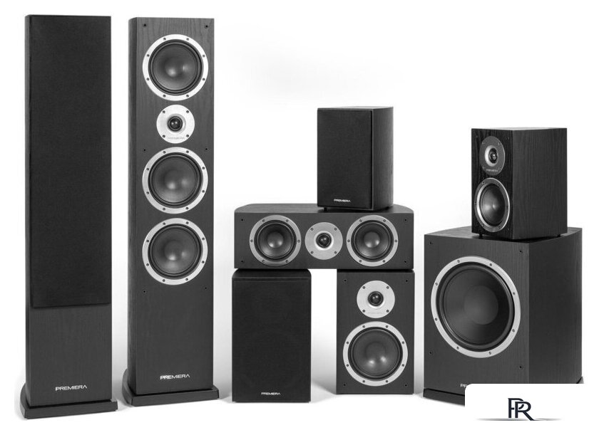 Проводной сабвуфер Premiera DS-10SA (черный) - Изображение №6 — Интернет-магазин ПроЗаказ