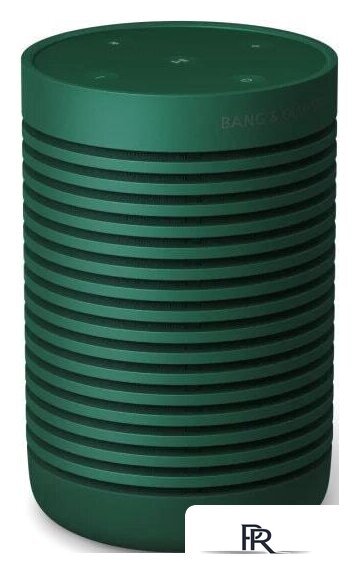 Беспроводная колонка Bang & Olufsen Beosound Explore (зеленый) - Изображение №2 — Интернет-магазин ПроЗаказ