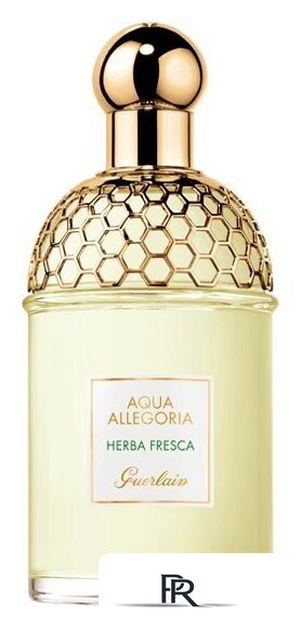 Туалетная вода Guerlain Aqua Allegoria Herba Fresca EdT (75 мл) - Изображение №1 — Интернет-магазин ПроЗаказ