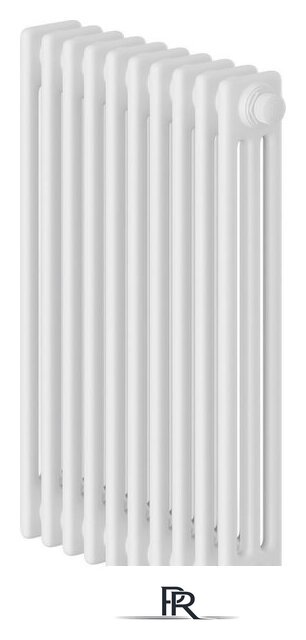 Стальной трубчатый радиатор Royal Thermo Insignia VC3050 - 10 секций RAL9016 - Изображение №1 — Интернет-магазин ПроЗаказ