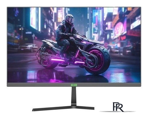 Игровой монитор ELSA EA241GS Pro - Изображение №1 — Интернет-магазин ПроЗаказ