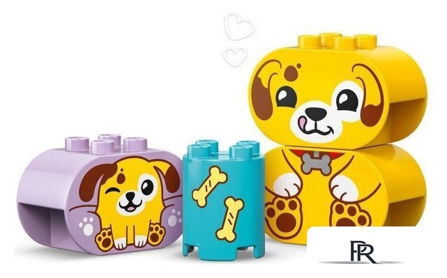 Конструктор LEGO Duplo Сортировщик фигур: дом для щенков 10441 - Изображение №10 — Интернет-магазин ПроЗаказ