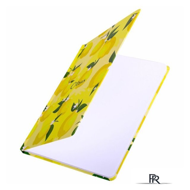 Ежедневник BRAUBERG Lemons 113727 - Изображение №6 — Интернет-магазин ПроЗаказ