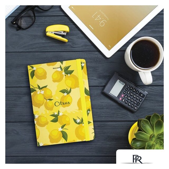 Ежедневник BRAUBERG Lemons 113727 - Изображение №8 — Интернет-магазин ПроЗаказ