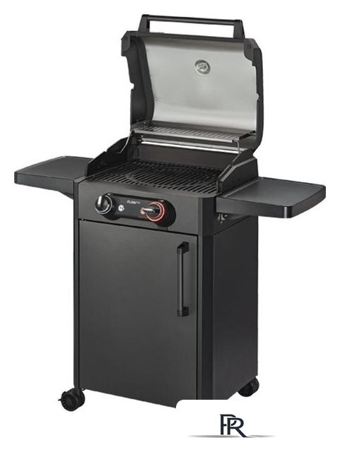 Газовый гриль для дачи Enders Eflow Pro 2 Turbo Shodow Series 9712 - Изображение №1 — Интернет-магазин ПроЗаказ