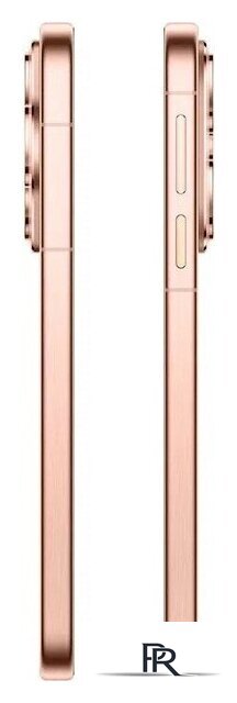 Телефон Huawei Pura 80 HED-LX9 12GB/256GB (золотой) - Изображение №10 — Интернет-магазин ПроЗаказ