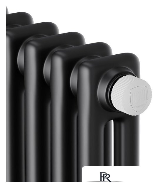 Стальной трубчатый радиатор Royal Thermo Insignia VC2180 - 08 секций RAL9005m - Изображение №3 — Интернет-магазин ПроЗаказ