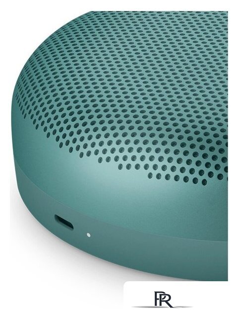 Беспроводная колонка Bang & Olufsen Beosound A1 3nd Gen (eucalyptus green) - Изображение №6 — Интернет-магазин ПроЗаказ