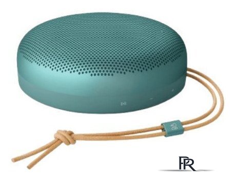 Беспроводная колонка Bang & Olufsen Beosound A1 3nd Gen (eucalyptus green) - Изображение №1 — Интернет-магазин ПроЗаказ