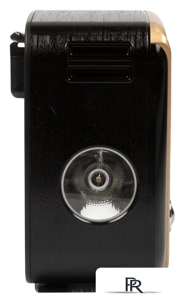 Радиоприемник Ritmix RPR-050 (золотой) - Изображение №6 — Интернет-магазин ПроЗаказ