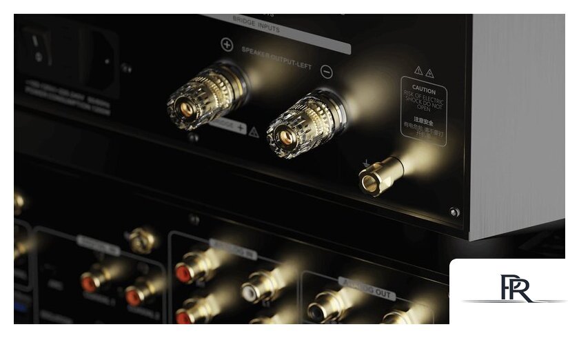 Усилитель мощности Eversolo AMP-F10 - Изображение №7 — Интернет-магазин ПроЗаказ