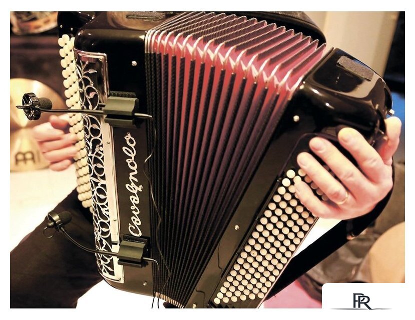 Комплект проводных микрофонов Prodipe AL21 Romanelli Accordion - Изображение №5 — Интернет-магазин ПроЗаказ