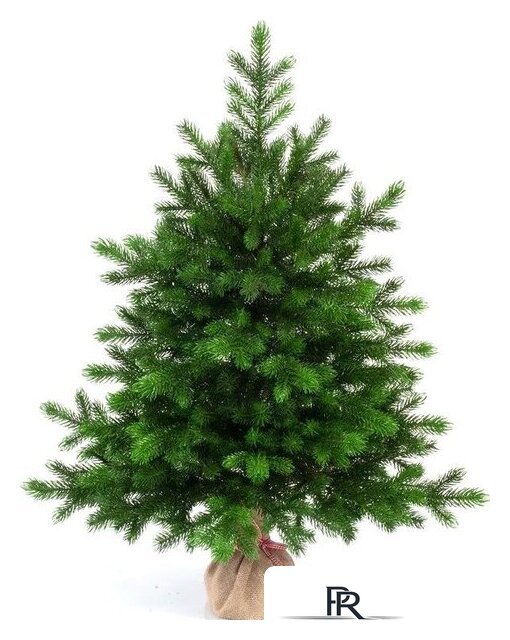 Ель National Tree Company Грация Премиум ГР/ПР-90 90 см - Изображение №1 — Интернет-магазин ПроЗаказ