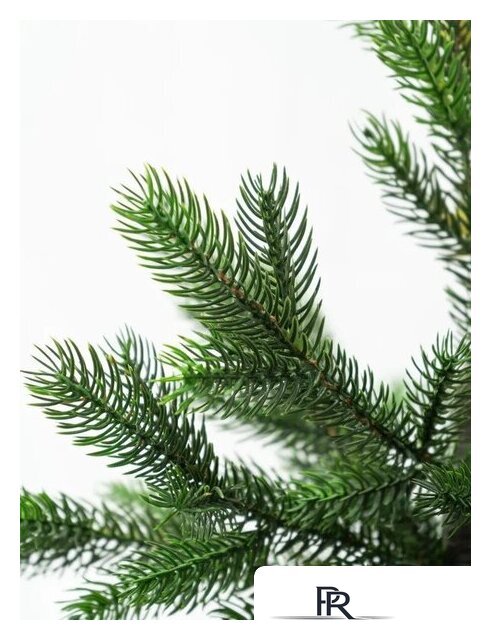 Ель National Tree Company Грация Премиум ГР/ПР-90 90 см - Изображение №5 — Интернет-магазин ПроЗаказ