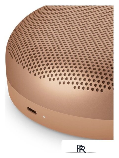 Беспроводная колонка Bang & Olufsen Beosound A1 3nd Gen (honey tone) - Изображение №6 — Интернет-магазин ПроЗаказ