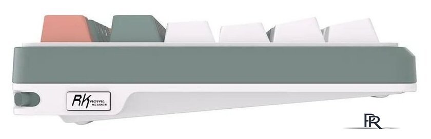 Клавиатура Royal Kludge RK-S98 RGB Camping (RK Brown) - Изображение №9 — Интернет-магазин ПроЗаказ