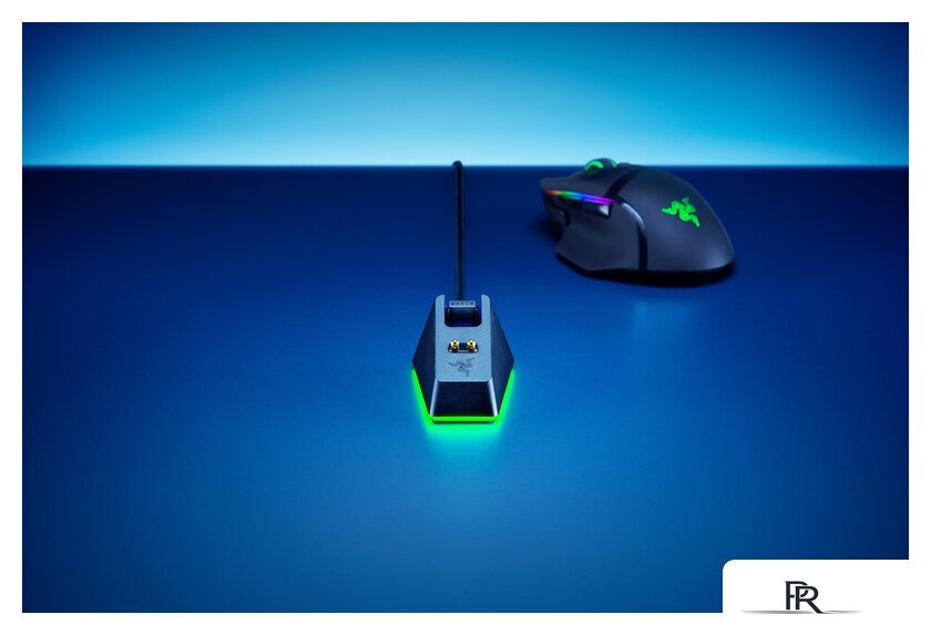 Зарядная станция Razer Mouse Dock Chroma - Изображение №10 — Интернет-магазин ПроЗаказ