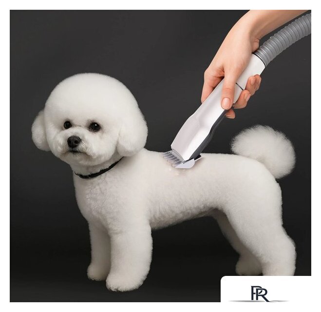 Пылесос RED Solution Pet Line VG3040 - Изображение №13 — Интернет-магазин ПроЗаказ