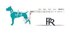 Шлея Ferplast Ergotrekking XL 75467152 (XL, черный) - Изображение №10 — Интернет-магазин ПроЗаказ