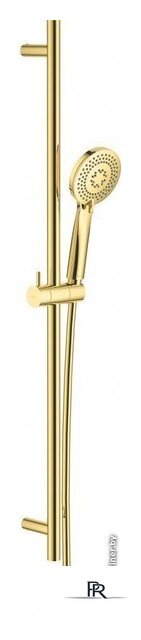 Душевой гарнитур  Deante Arnika Gold NQA Z51K - Изображение №1 — Интернет-магазин ПроЗаказ