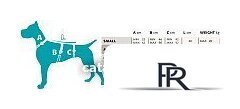 Шлея Ferplast Ergotrekking XS 75467000 (XS, коричневый) - Изображение №10 — Интернет-магазин ПроЗаказ