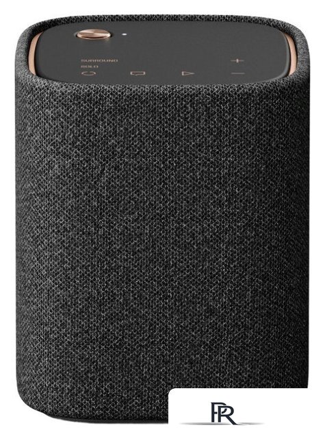 Беспроводная колонка Yamaha True X Speaker WS-X1A (темно-серый) - Изображение №1 — Интернет-магазин ПроЗаказ