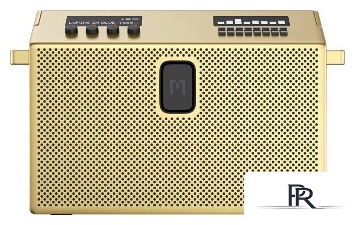 Беспроводная колонка Defunc Mondo BT Speaker Large (латунный) - Изображение №2 — Интернет-магазин ПроЗаказ