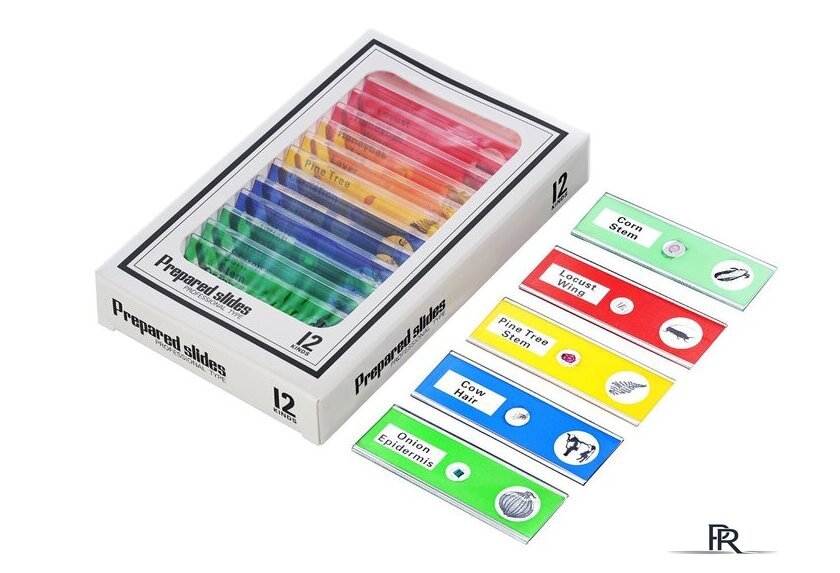 Детский микроскоп Levenhuk LabZZ DM200 LCD 76827 - Изображение №13 — Интернет-магазин ПроЗаказ