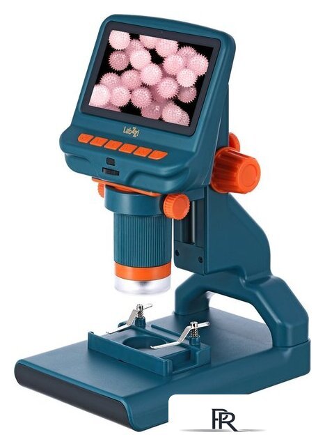 Детский микроскоп Levenhuk LabZZ DM200 LCD 76827 - Изображение №1 — Интернет-магазин ПроЗаказ