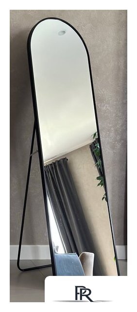 Зеркало EMZE Арка 45х150 DK0915.CHE (черный) - Изображение №1 — Интернет-магазин ПроЗаказ