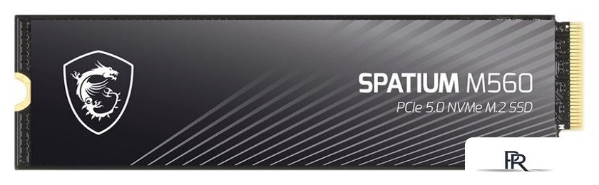 SSD MSI Spatium M560 1TB S78-440L0F0-P83 - Изображение №1 — Интернет-магазин ПроЗаказ